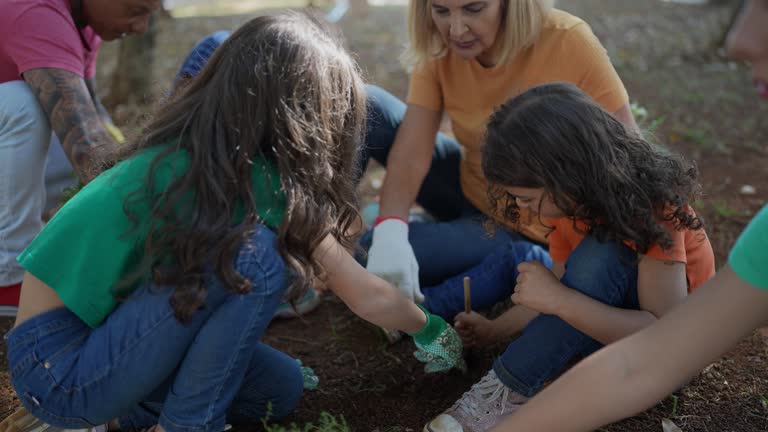 Tree and Shrub Care